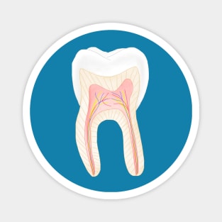 Tooth inside Magnet